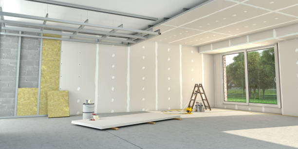 Best Local Insulation Services  in Ames, IA